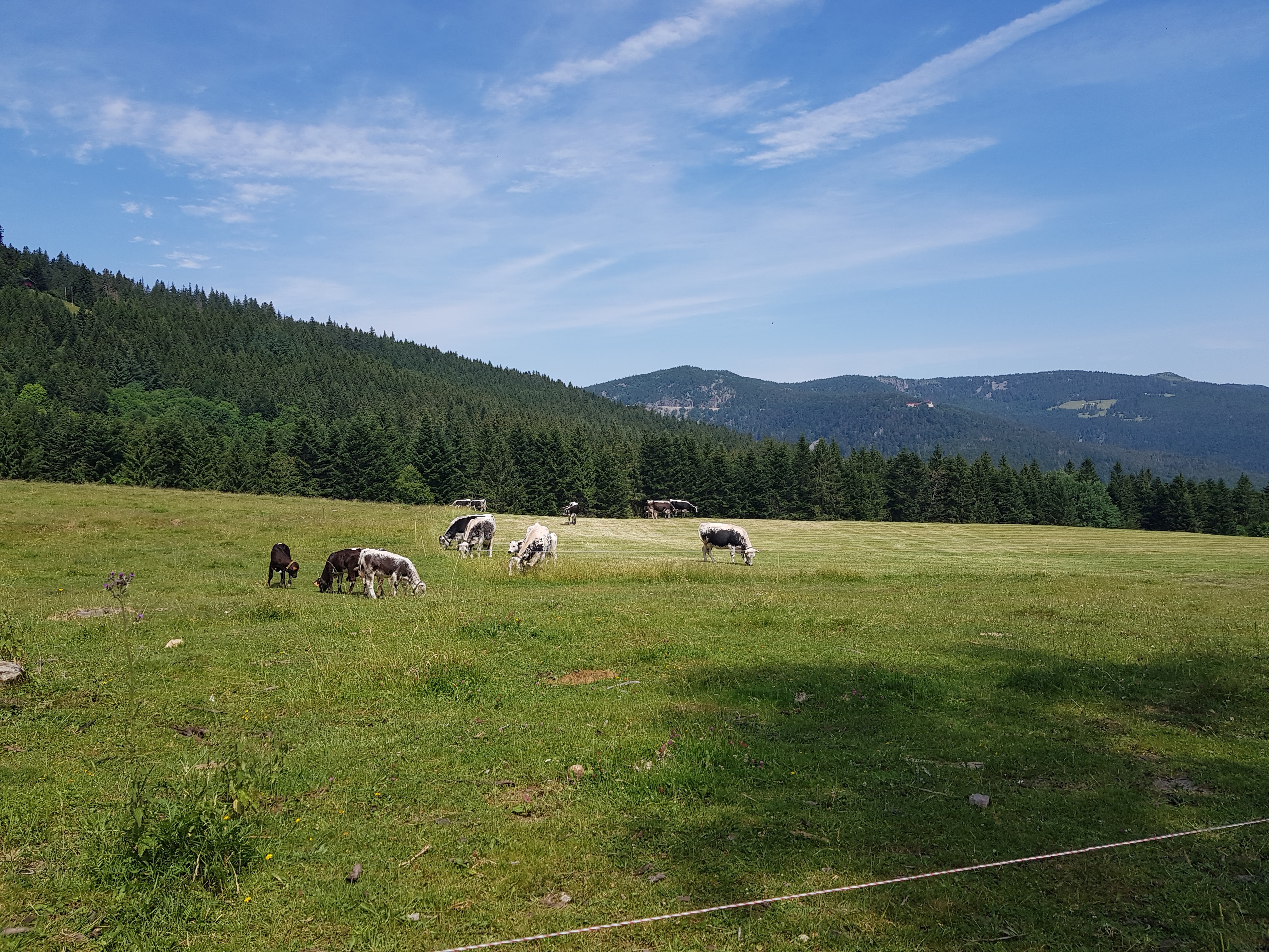 Photo n° 2 de l'avis de Sophie.a fait le 11/07/2019 à 11:02