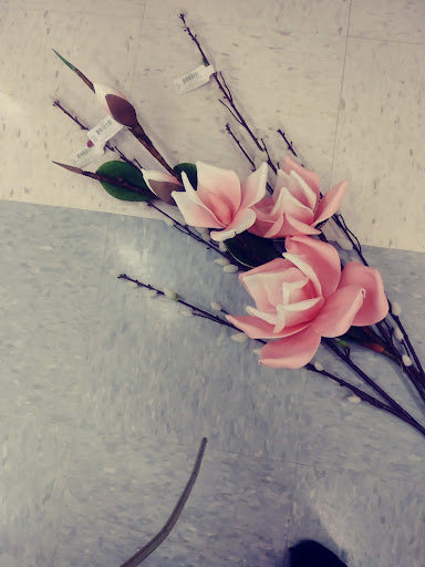 Fabric Store «Jo-Ann Fabrics and Crafts», reviews and photos, 7746 Polo Grounds Blvd, Memphis, TN 38125, USA