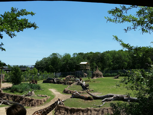 Zoo «Dallas Zoo», reviews and photos, 650 S R.L. Thornton Fwy, Dallas, TX 75203, USA