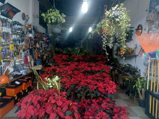 El mundo de las plantas – Tizayuca