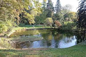 Bergsee im Türkenschanzpark image