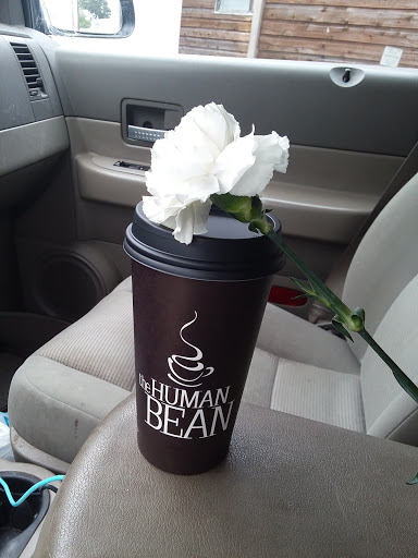 Coffee Shop «The Human Bean Bandon», reviews and photos, 65 10th St SE, Bandon, OR 97411, USA