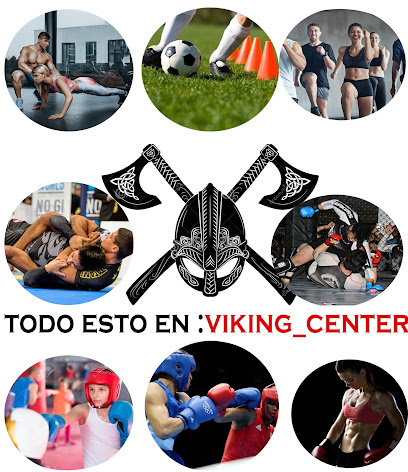 viking center