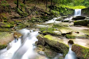 Wild Waterfall Brenna Hołcyna image