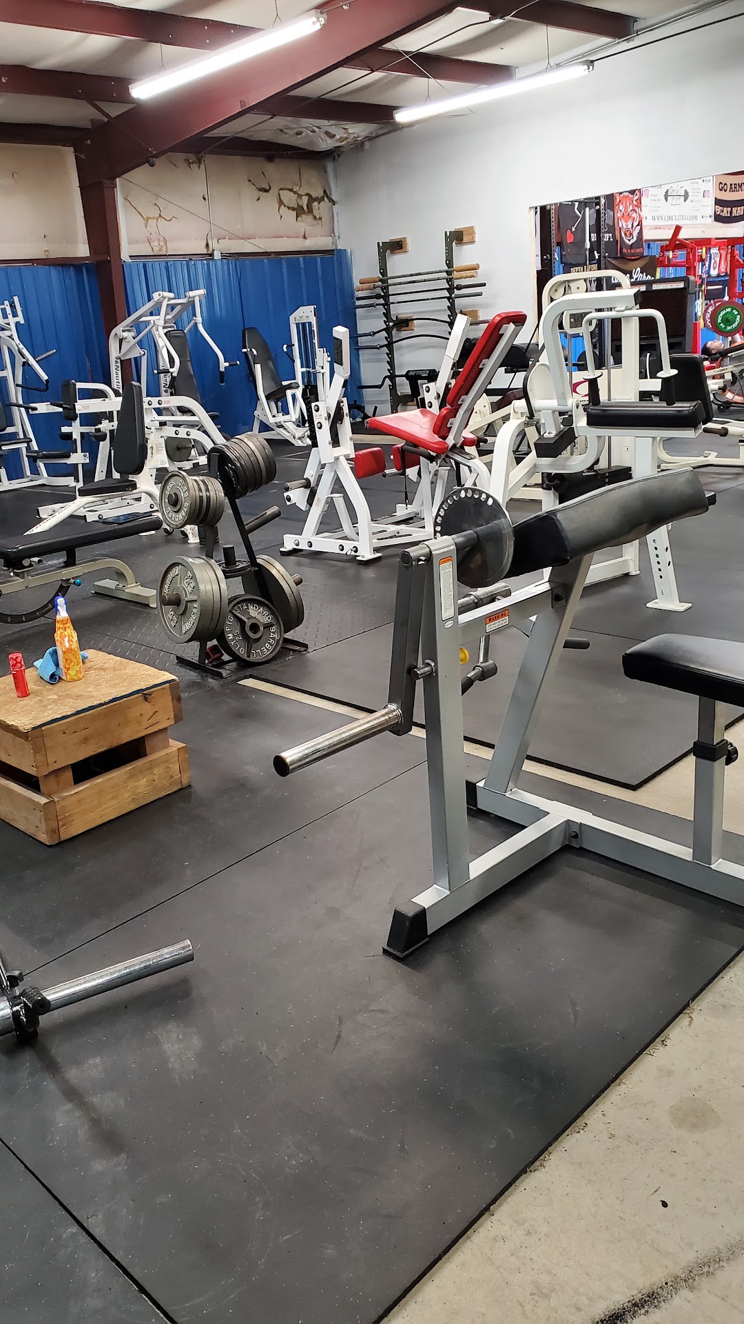 BMF Strength