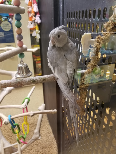 Pet Supply Store «PetSmart», reviews and photos, 24 Countryside Plaza, Countryside, IL 60525, USA