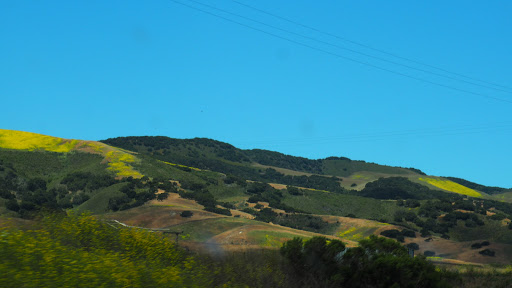 Golf Club «Rancho Maria Public Golf Course», reviews and photos, 1950 CA-1, Santa Maria, CA 93455, USA