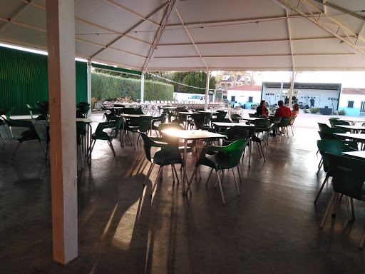 Información y opiniones sobre Bar Piscina De San Pedro de San Pedro