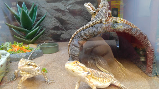 Pet Supply Store «Petco Animal Supplies», reviews and photos, 10383 Reisterstown Rd, Owings Mills, MD 21117, USA