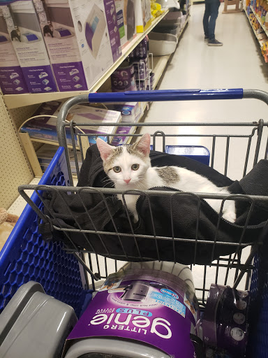 Pet Supply Store «PetSmart», reviews and photos, 8287 W Golf Rd, Niles, IL 60714, USA