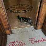 Photo n°1 de l'avis de Elena.a fait le 01/09/2018 à 17:07 sur le  Hotel Villa Centa à Varazze