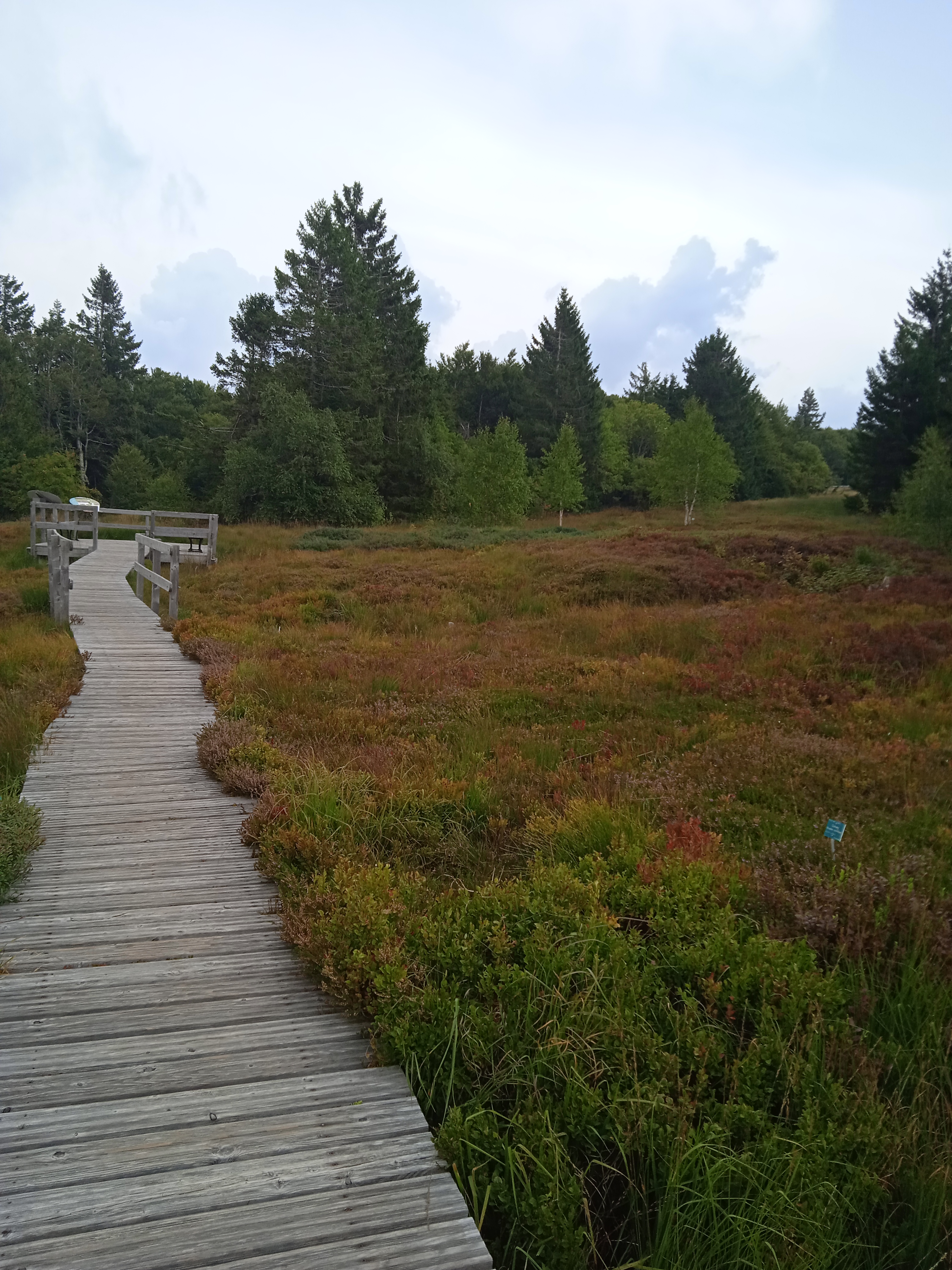 Photo n° 5 de l'avis de Françoise.o fait le 31/08/2022 à 11:04
