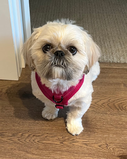 Pet Supply Store «PetSmart», reviews and photos, 3995 Welsh Rd, Willow Grove, PA 19090, USA