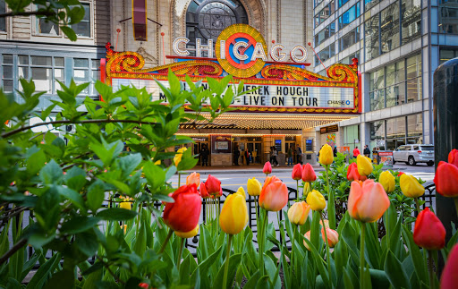 Performing Arts Theater «The Chicago Theatre», reviews and photos, 175 N State St, Chicago, IL 60601, USA