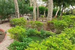 Kailash Van Garden image