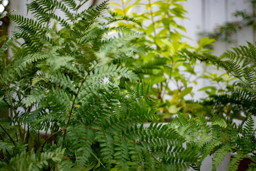 Event Venue «Something Special at Lillian Gardens», reviews and photos, 83 Greenville St, Newnan, GA 30263, USA