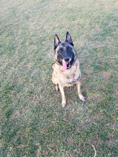 Dog Park «Worthington Off Leash Dog Park», reviews and photos, 8170 Hillsborough Rd, Ellicott City, MD 21043, USA