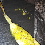 Photo n°10 de l'avis de Flavia.2 fait le 21/07/2023 à 19:18 sur le  OWAP à Naples