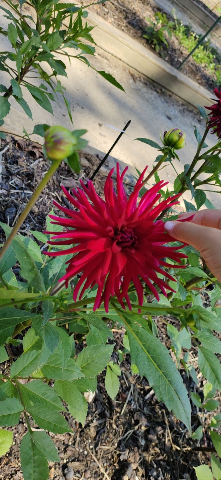 Photo n° 5 de l'avis de Benoit.a fait le 01/08/2021 à 13:45