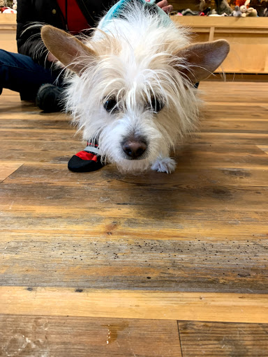 Pet Supply Store «Pets Naturally», reviews and photos, 1420 W South Airport Rd, Traverse City, MI 49686, USA