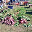 Green and Gold Community Garden