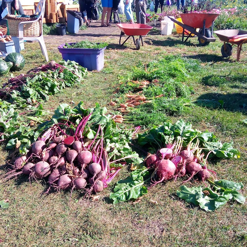 Green and Gold Community Garden