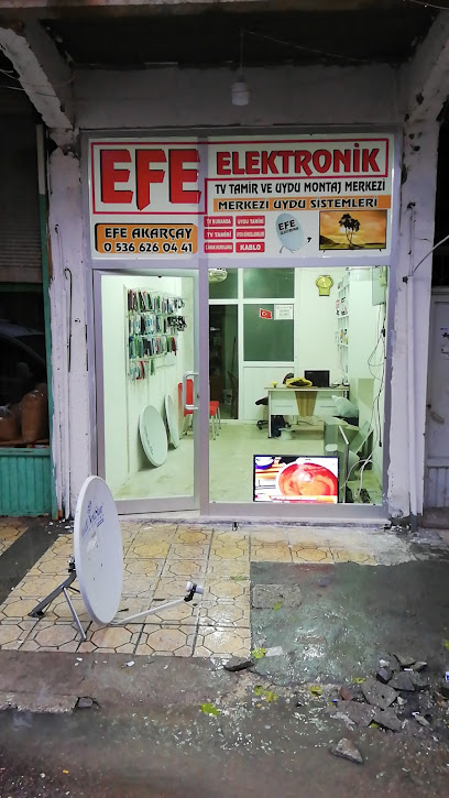Efe Elektronık