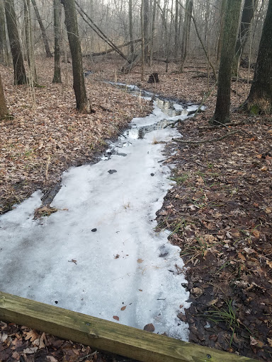 Nature Preserve «Scio Woods Preserve», reviews and photos, Scio Church Rd, Ann Arbor, MI 48103, USA