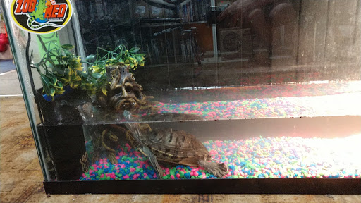 Pet Supply Store «Nature Boys Farm & Pet Supply», reviews and photos, 17022 Pacific Ave S, Spanaway, WA 98387, USA