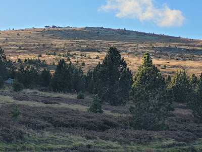 Col de Finiels à Pont-de-Montvert-Sud-Mont-Lozère