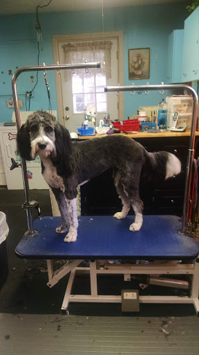 Bark's N Bubbles Boutique