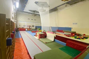 European Gymnastic Center Luzhniki image