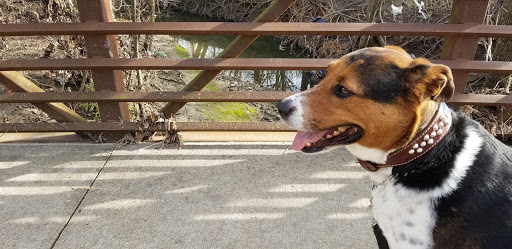 Park «Forney Community Park», reviews and photos, 241 S Farm to Market 548, Forney, TX 75126, USA