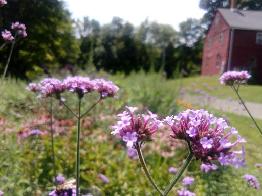 Nature Preserve «Macricostas Preserve», reviews and photos, 121 Christian St, New Preston, CT 06777, USA