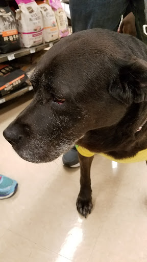 Pet Supply Store «Petco Animal Supplies», reviews and photos, 35860 Chester Rd, Avon, OH 44011, USA