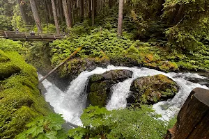 Sol Duc Trailhead image