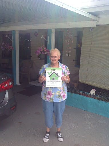 Solar Energy Company «Efficient Home Services of Florida», reviews and photos