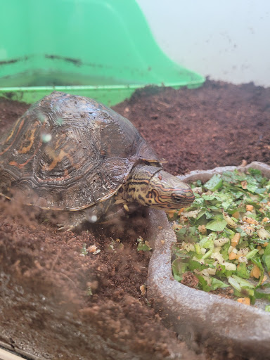 Pet Supply Store «Pet Supplies Plus», reviews and photos, 208 St James Ave, Goose Creek, SC 29445, USA