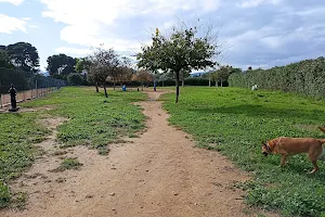 Canino 'Pou de Moro" Dog Park image