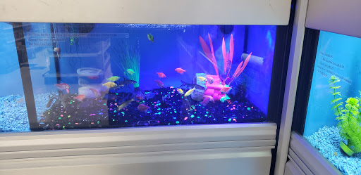 Pet Supply Store «PetKraze», reviews and photos, 100 Independent Way, Brewster, NY 10509, USA