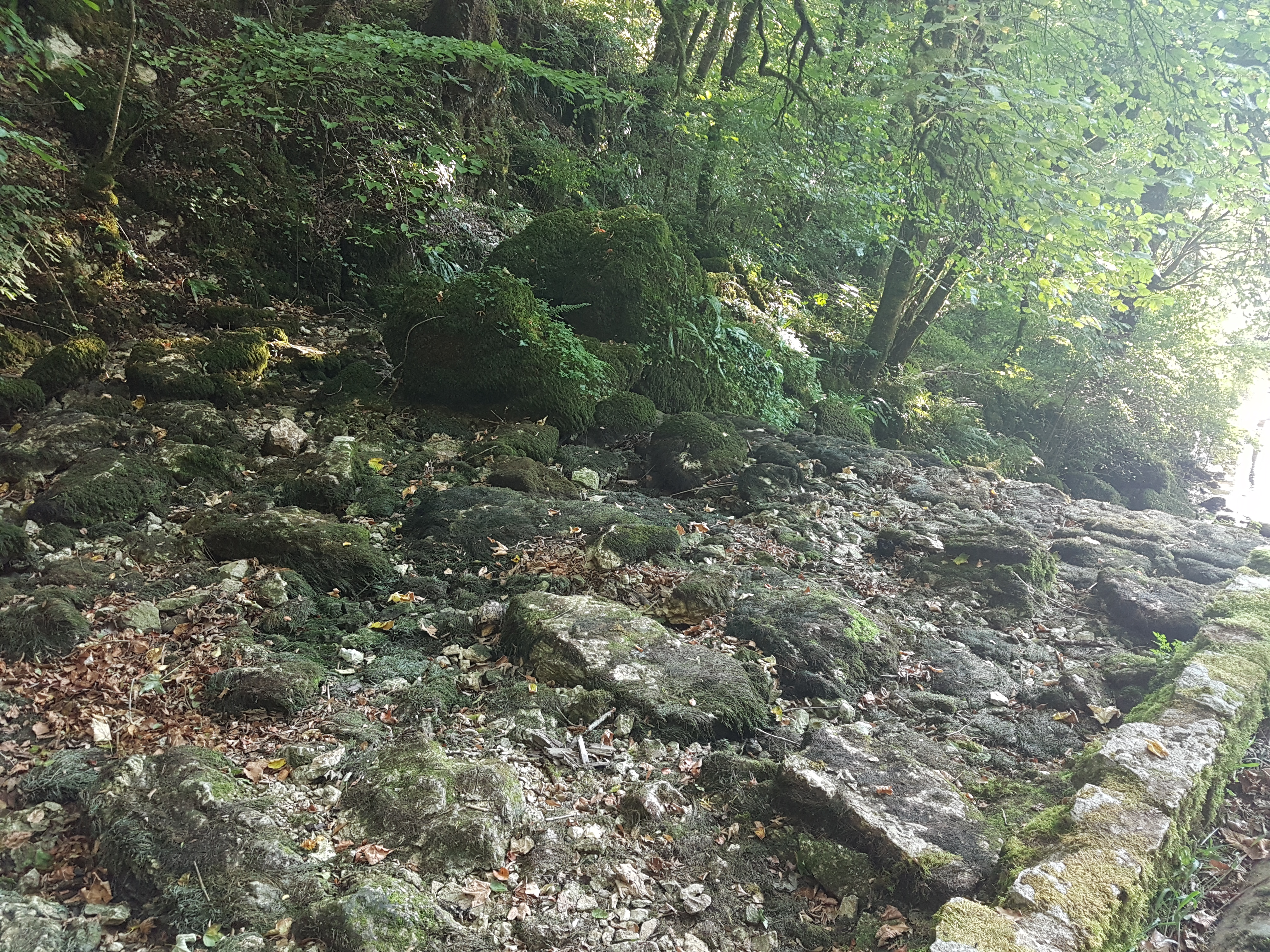 Photo n° 18 de l'avis de Stéphane.a fait le 19/08/2018 à 18:55