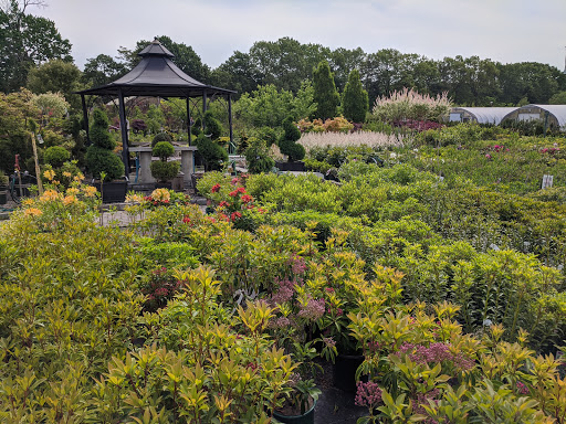 Garden Center «Sixteen Acres Garden Center», reviews and photos, 1359 Wilbraham Rd, Springfield, MA 01119, USA