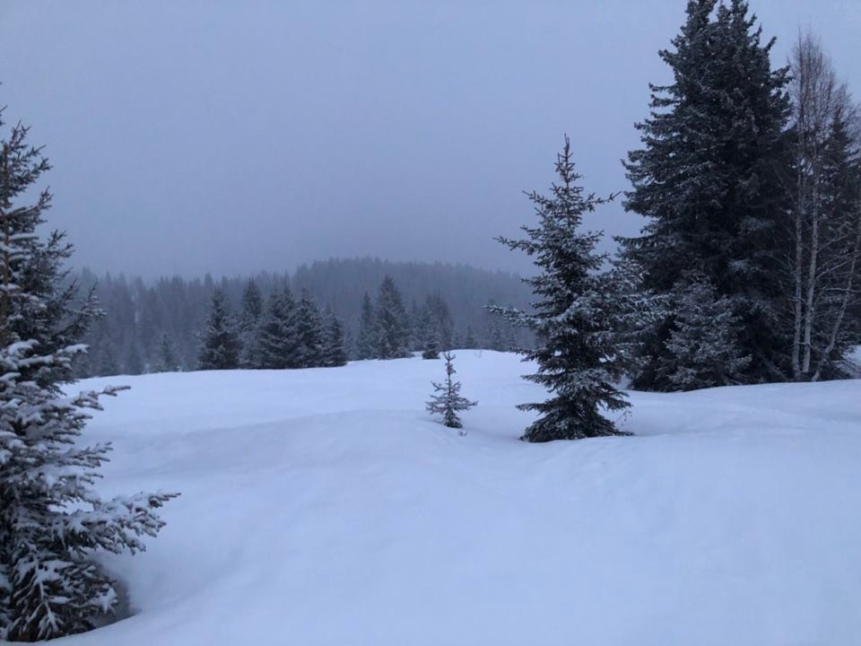 Photo n° 7 de l'avis de julien.a fait le 15/03/2023 à 14:05