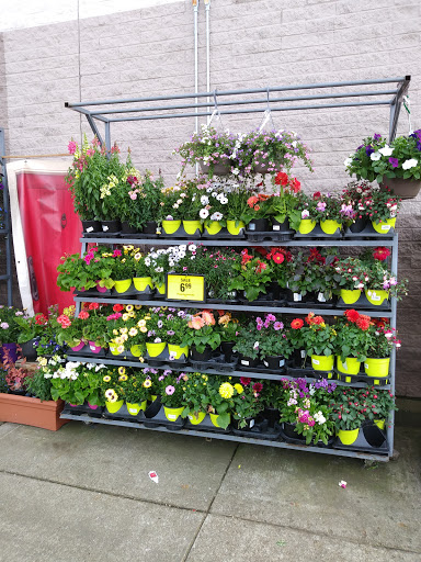 Grocery Store «Fred Meyer», reviews and photos, 777 NW Kings Blvd, Corvallis, OR 97330, USA