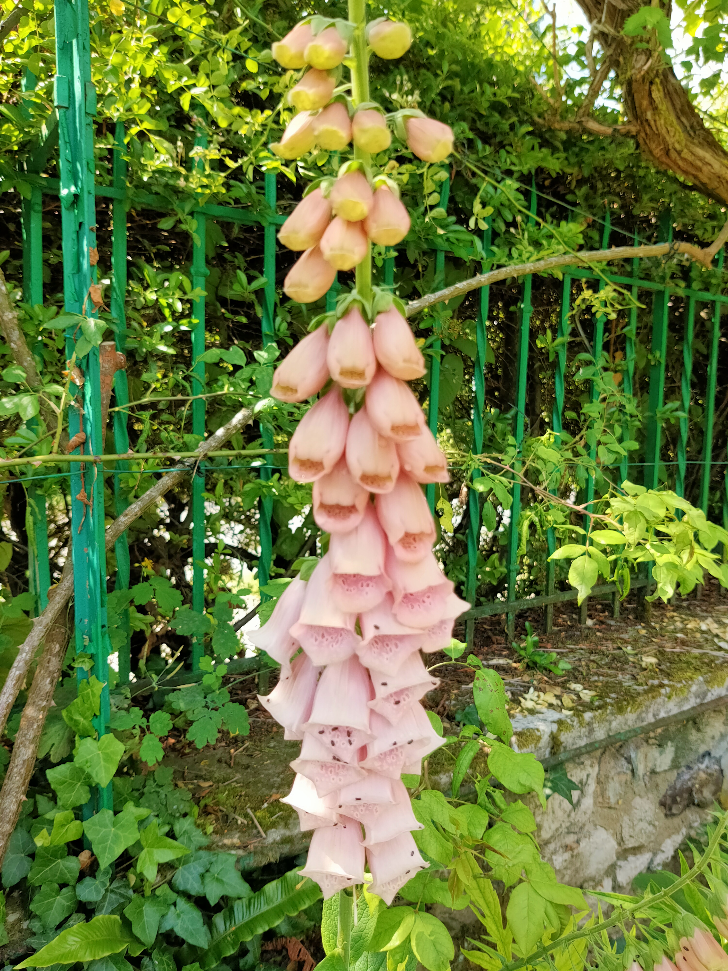 Photo n° 9 de l'avis de Juliette.e fait le 08/06/2022 à 08:02