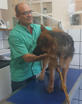 Clinique Vétérinaire du Lancier à Marseille