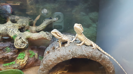 Pet Supply Store «Petco Animal Supplies», reviews and photos, 1203 SE Everett Mall Way f, Everett, WA 98208, USA