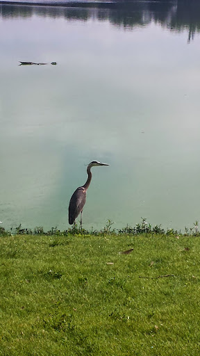 Park «Prairie Park», reviews and photos, 431 Knollwood Dr, Barrington, IL 60010, USA