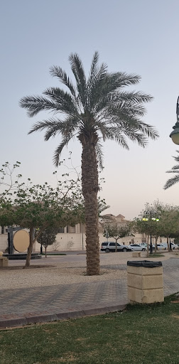 حديقة الياسمين في الرياض 1
