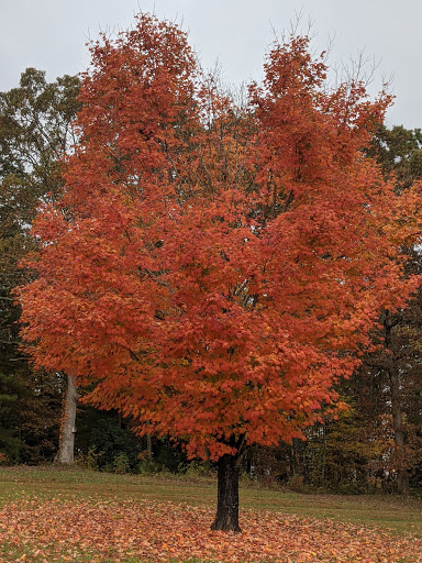 Park «Jackson Park», reviews and photos, 640 Glover St, Hendersonville, NC 28792, USA